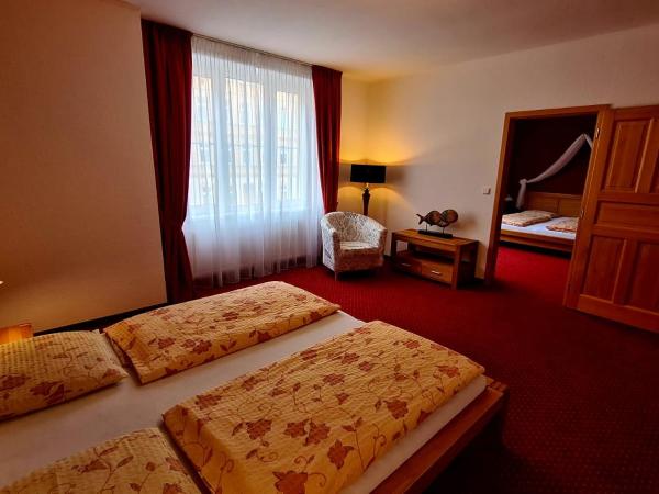 Penzion Valkoun-Lilienfeld : photo 1 de la chambre appartement