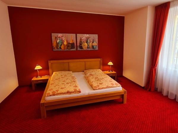 Penzion Valkoun-Lilienfeld : photo 3 de la chambre appartement