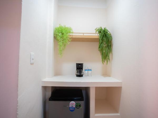 Hotel Tropicus Boutique : photo 6 de la chambre chambre quadruple avec balcon