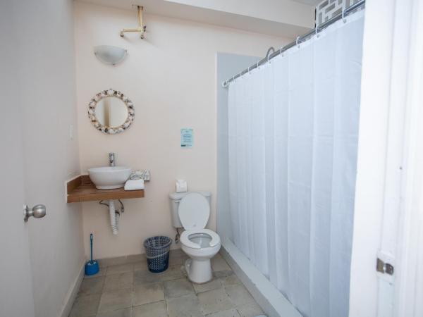 Hotel Tropicus Boutique : photo 8 de la chambre appartement standard