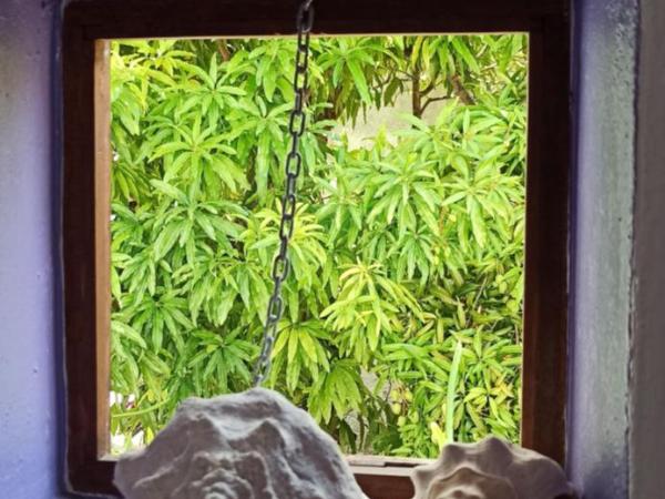 Amaranto Bed and Breakfast : photo 1 de la chambre bungalow supérieur