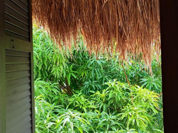 Amaranto Bed and Breakfast : photo 10 de la chambre chambre double avec vue