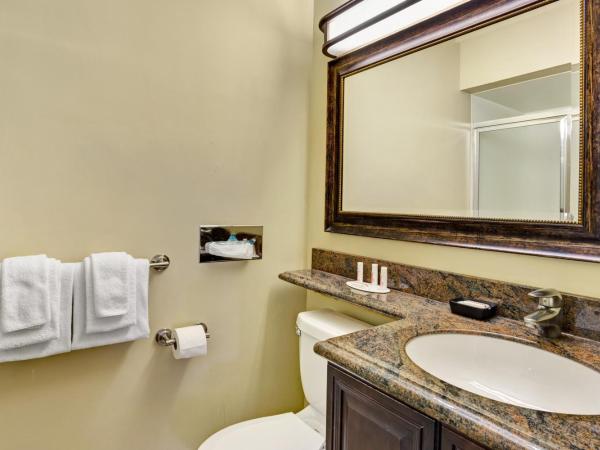 Travelodge by Wyndham Presidio San Francisco : photo 4 de la chambre chambre lit king-size - non-fumeurs