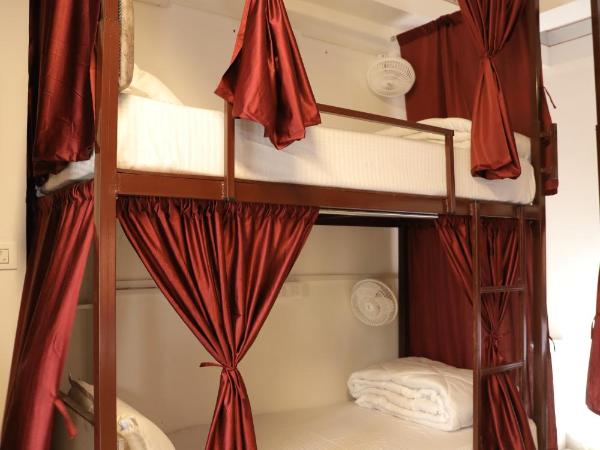 Hostel Funky Bunky : photo 2 de la chambre lit superposé dans dortoir pour femmes 