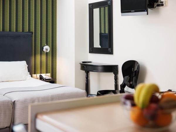 Steris Elegant Beach Hotel & Apartments : photo 3 de la chambre studio