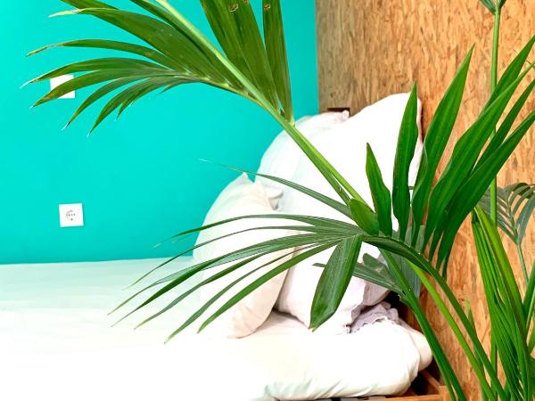 Fred's House Asprela : photo 4 de la chambre maison de vacances