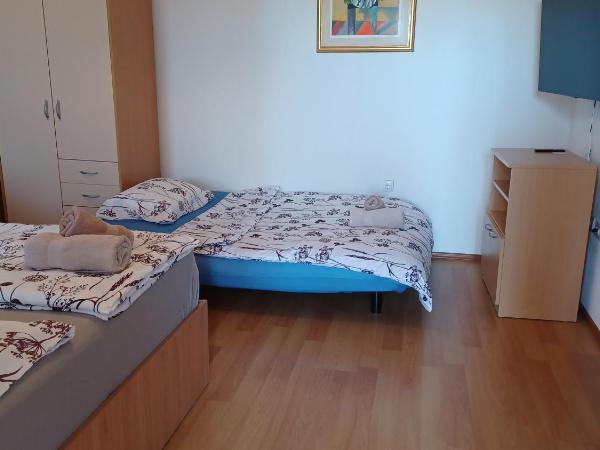 Apartments Villa Adamović : photo 5 de la chambre studio avec terrasse