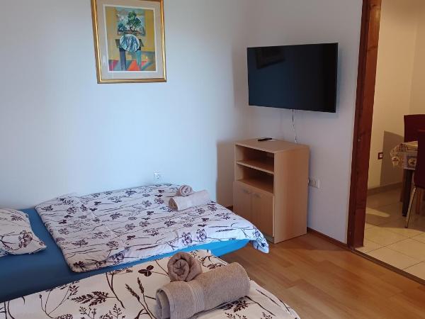Apartments Villa Adamović : photo 6 de la chambre studio avec terrasse