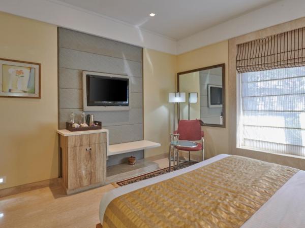 Residency Hotel Fort : photo 3 de la chambre chambre double club