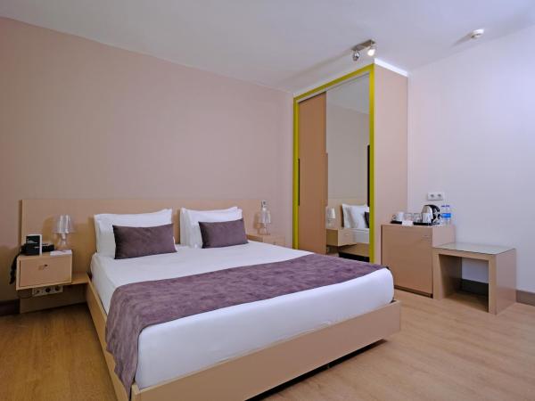 Cheya Beşiktaş Istanbul Bosphorus City Center Hotel & Suites : photo 1 de la chambre chambre double Économique