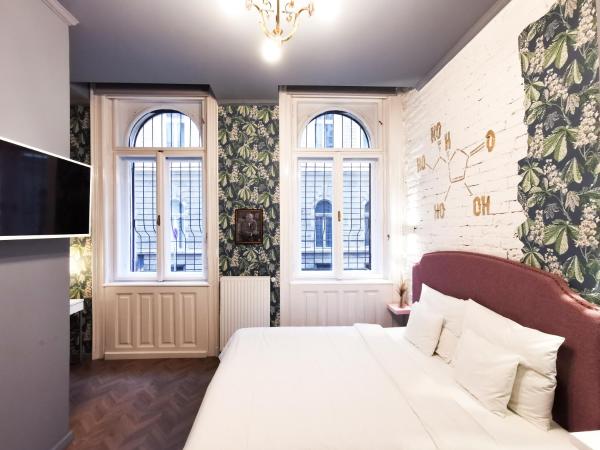 Metropolis Budapest Boutique Hotel : photo 3 de la chambre chambre double standard