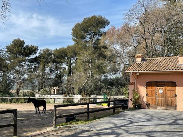 Résidence de charme à Grasse : photo 9 de la chambre maison de vacances