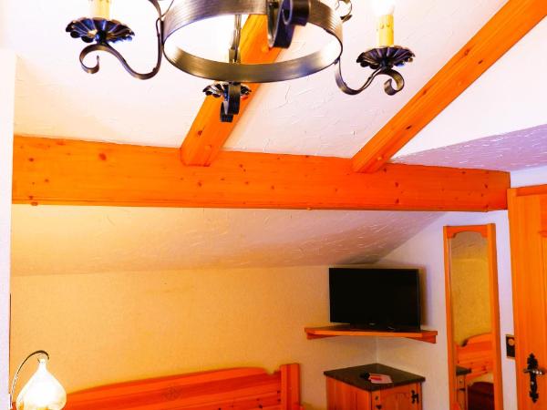 Hotel Christiania Saas-Fee : photo 2 de la chambre chambre simple nord