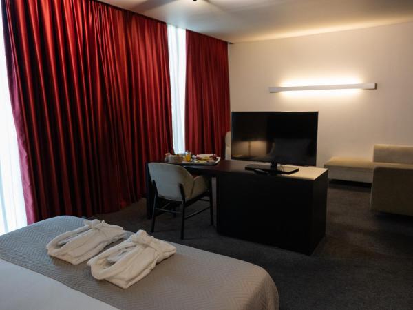 Axis Viana Business & SPA Hotel : photo 8 de la chambre suite junior – vue sur montagne