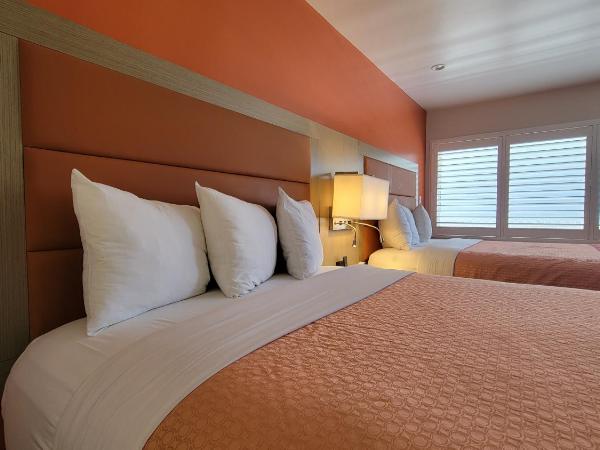 Presidio Parkway Inn : photo 3 de la chambre chambre premium avec 2 lits queen-size