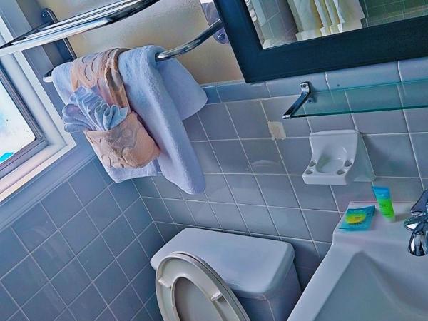 Wayfarer Motel : photo 3 de la chambre chambre double deluxe (2 adultes + 1 enfant)