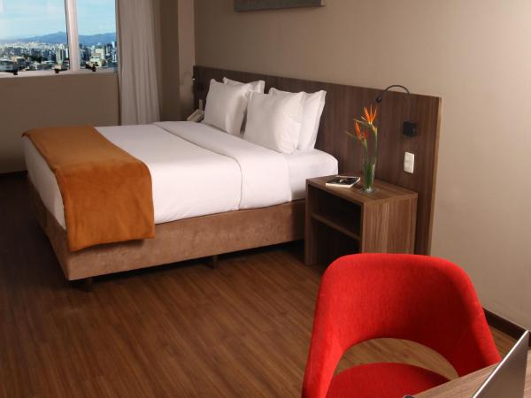 BH Raja Hotel : photo 1 de la chambre chambre double deluxe