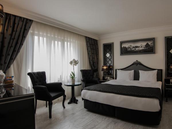 Hotel Yigitalp Istanbul : photo 3 de la chambre chambre double deluxe