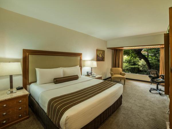 Wyndham Garden Guadalajara Expo Plaza del Sol : photo 2 de la chambre king room club garden