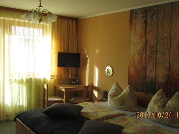 Haus Angelika - bed & breakfast - Innsbruck/Igls : photo 2 de la chambre chambre double avec toilettes séparées privées, balcon et parking