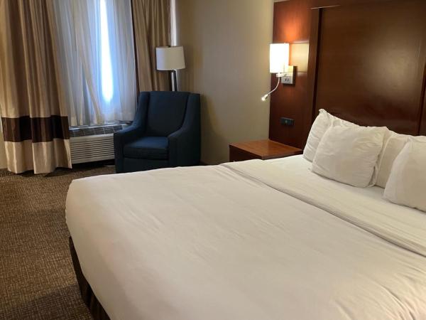 Comfort Inn Indianapolis South I-65 : photo 1 de la chambre chambre lit king-size - non-fumeurs