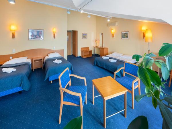 Corvin Hotel Budapest Sissi Wing : photo 5 de la chambre chambre familiale