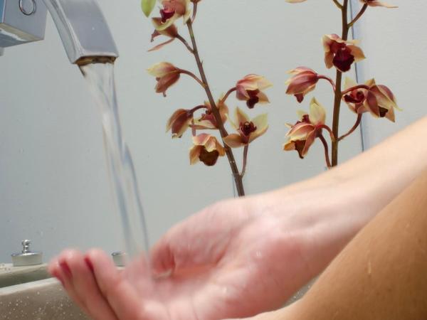 Abracadabra Pousada : photo 8 de la chambre chambre triple supérieure