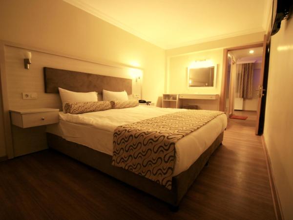 Grand Zeybek Hotel : photo 3 de la chambre suite