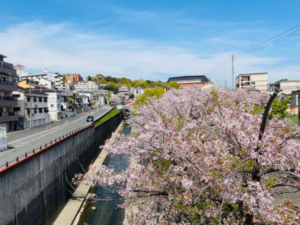 KOBE coffee hostel : photo 10 de la chambre dortoir pour femmes