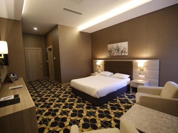 Hotel Excellence Inn : photo 4 de la chambre chambre double standard