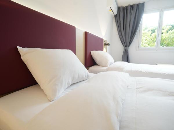 Anaïs Hôtel Bourges Nord Saint-Doulchard : photo 1 de la chambre chambre lits jumeaux pour personnes à mobilité réduite