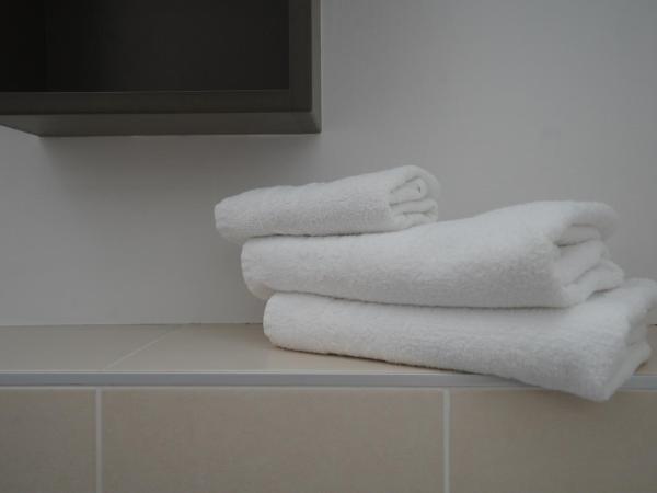 Anaïs Hôtel Bourges Nord Saint-Doulchard : photo 1 de la chambre chambre double - accessible aux personnes à mobilité réduite