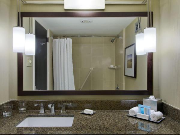 Hilton St. Louis at the Ballpark : photo 5 de la chambre king room with landmark view and mobility accessible tub