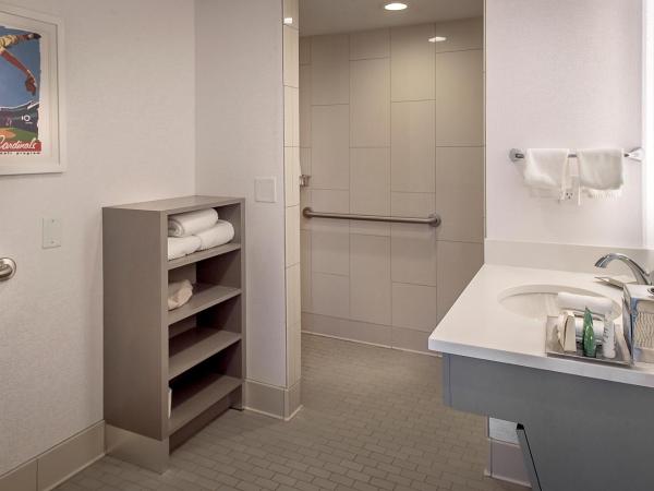 Hilton St. Louis at the Ballpark : photo 3 de la chambre queen room - disability access landmark view