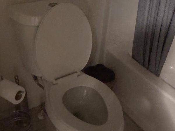 Cozy home away from home : photo 1 de la chambre chambre double