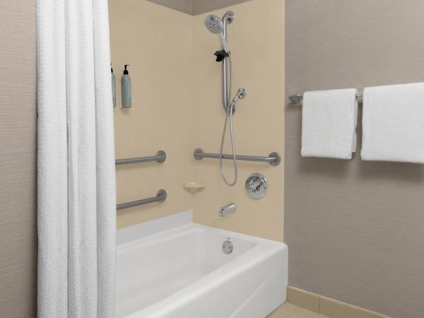 Courtyard San Diego Central : photo 7 de la chambre chambre lit king-size avec canapé-lit