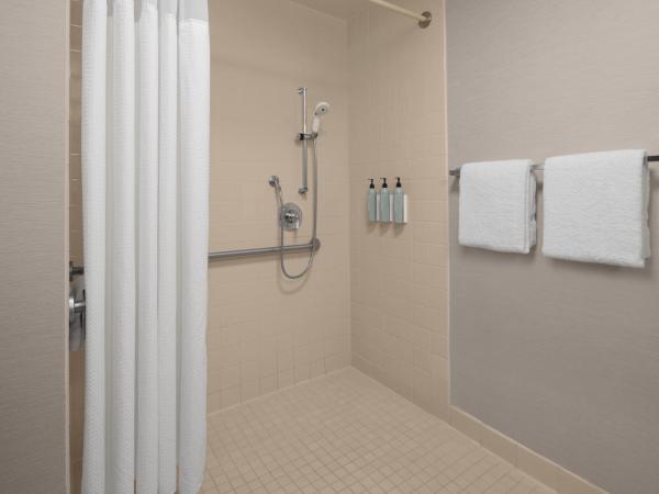 Courtyard San Diego Central : photo 6 de la chambre chambre lit king-size avec canapé-lit