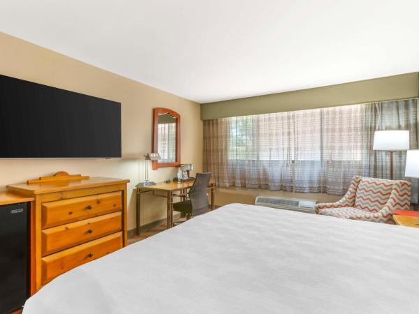 Best Western Plus Rio Grande Inn : photo 2 de la chambre chambre lit king-size