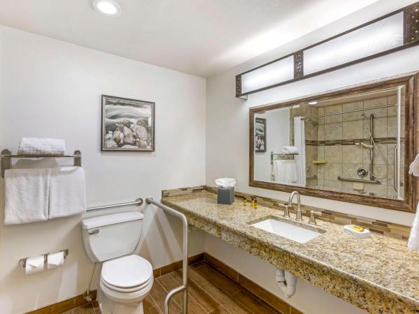 Best Western Plus Rio Grande Inn : photo 3 de la chambre chambre lit king-size - douche à l'italienne accessible aux personnes à mobilité réduite