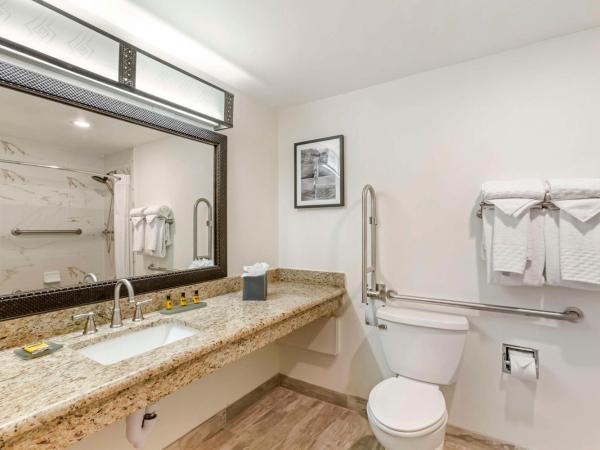 Best Western Plus Rio Grande Inn : photo 2 de la chambre chambre 2 lits doubles - accessible aux personnes à mobilité réduite - non-fumeurs