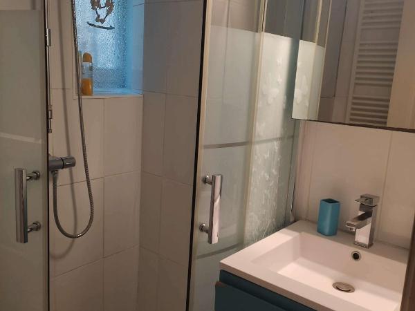 B&B Le Miroir aux Fées Bordeaux : photo 8 de la chambre chambre simple avec douche 