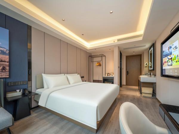 Atour Hotel Shanghai Hongqiao Xinzhuang Business District : photo 6 de la chambre jimu double room