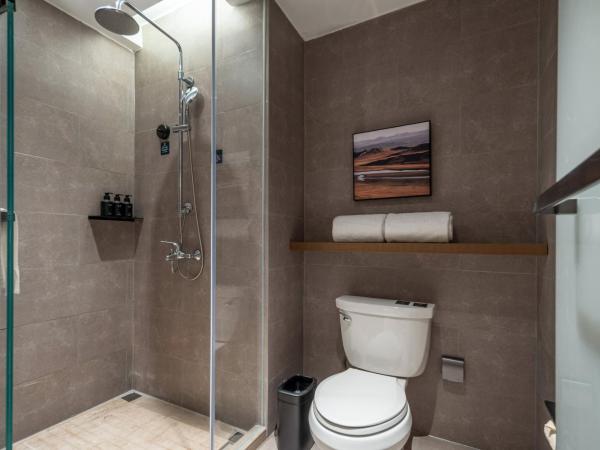 Atour Hotel Shanghai Hongqiao Xinzhuang Business District : photo 4 de la chambre jimu twin room