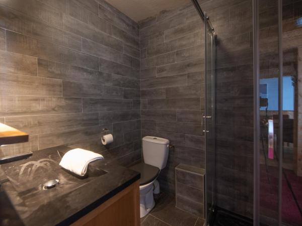 Les Chalets du Thorens : photo 6 de la chambre appartement 1 chambre (2-4 adultes)