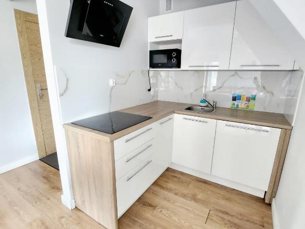 Bory6a Apartamenty & Free Parking : photo 10 de la chambre appartement supérieur 8