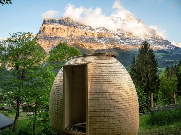 Grindelwald Youth Hostel : photo 5 de la chambre beehive in the middle of nature