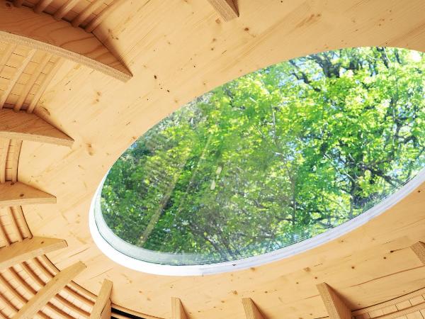 Grindelwald Youth Hostel : photo 3 de la chambre beehive in the middle of nature