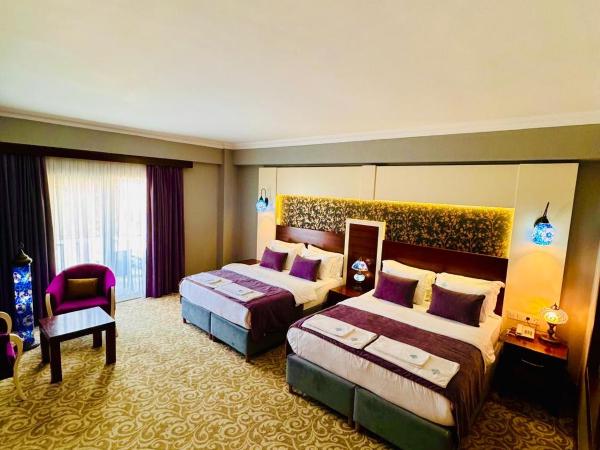 Pamukkale Whiteheaven Suite Hotel : photo 2 de la chambre chambre double ou lits jumeaux deluxe avec balcon