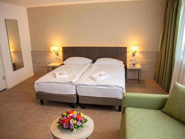 Hotel Nessi Locarno : photo 2 de la chambre modern family room with mountain view