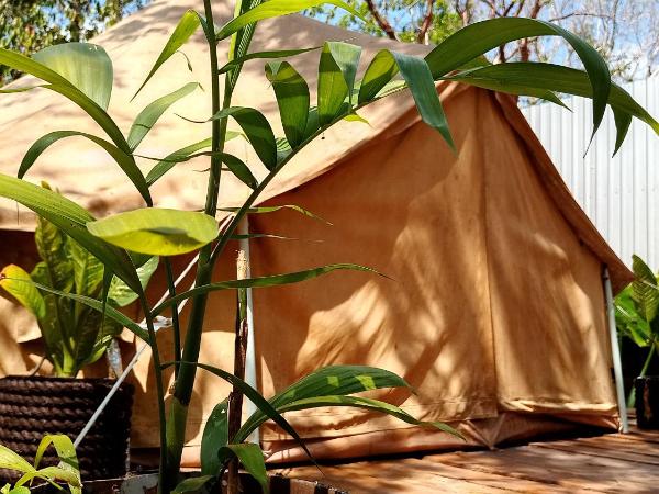 Cozumel Glamping : photo 3 de la chambre tente